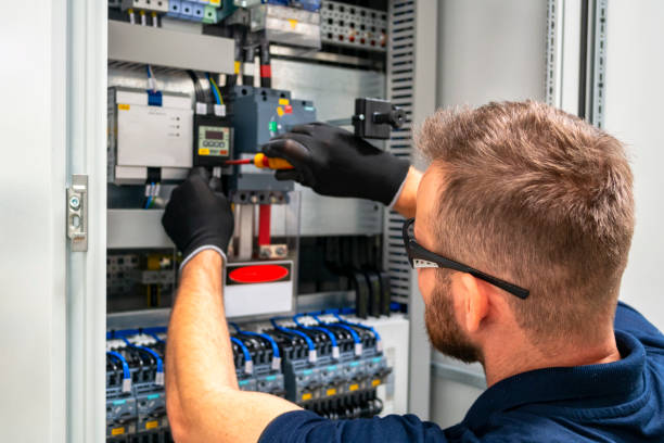 Best Electric Panel Repair  in La Joya, TX
