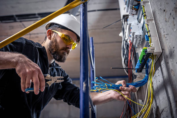 Best Electrical System Inspection  in La Joya, TX