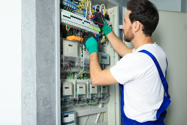Best Affordable Electrician  in La Joya, TX