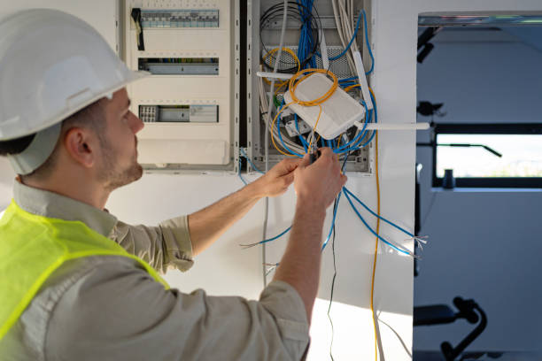 Best Local Electrician Companies  in La Joya, TX